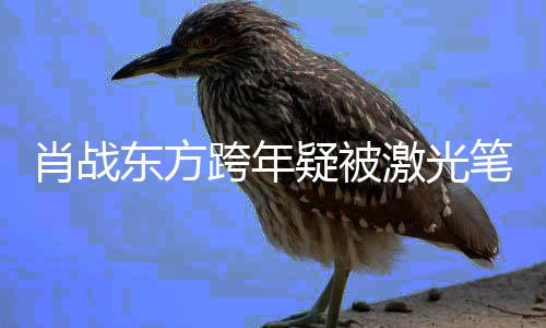 笔照东方目光明显某方肖战向跨年回避疑被激光射